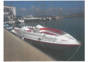 Surfrider International