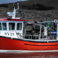 Extra picture for advert 147515