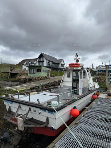 Main picture for advert 148518