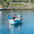 Thumbnail for picture 5