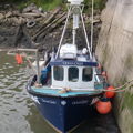 Extra picture for advert 147052