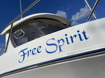 Free Spirit
