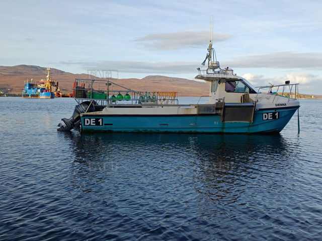 Large picture for advert 144522