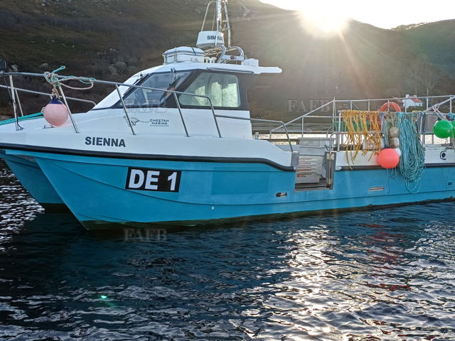 Large picture for advert 144522