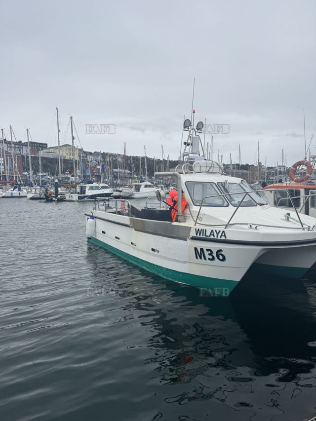 Large picture for advert 143525