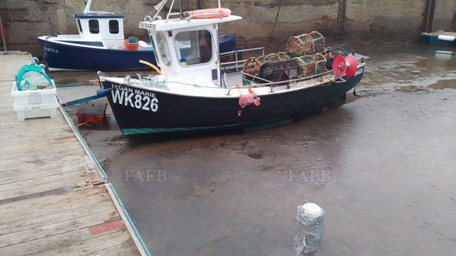 Large picture for advert 144525