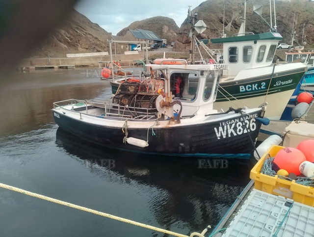 Large picture for advert 144525