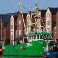 Extra picture for advert 145525