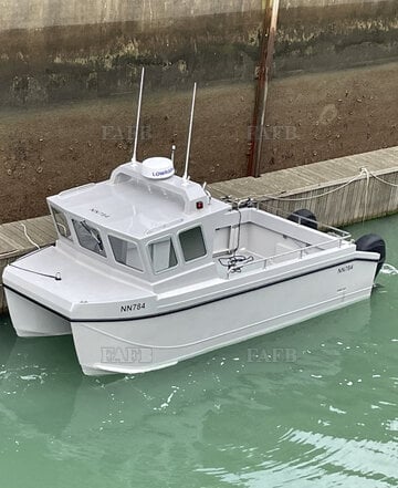 6.6 cat