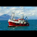 Extra picture for advert 148531