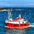 Extra picture for advert 148531