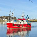 Extra picture for advert 148531