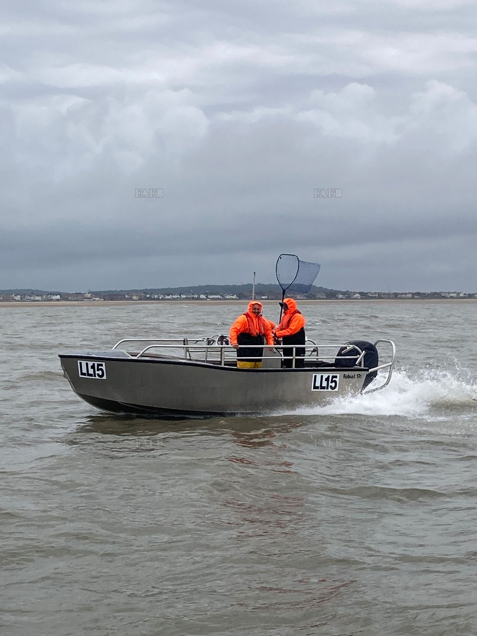 Large picture for advert 142532