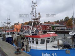 trawler - Möwe - ID:127533