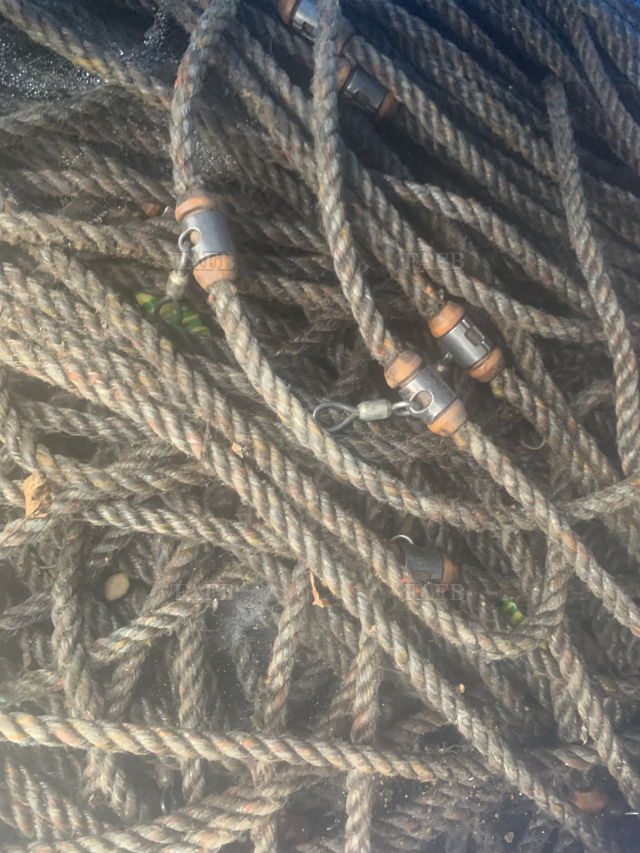 Large picture for advert 143534