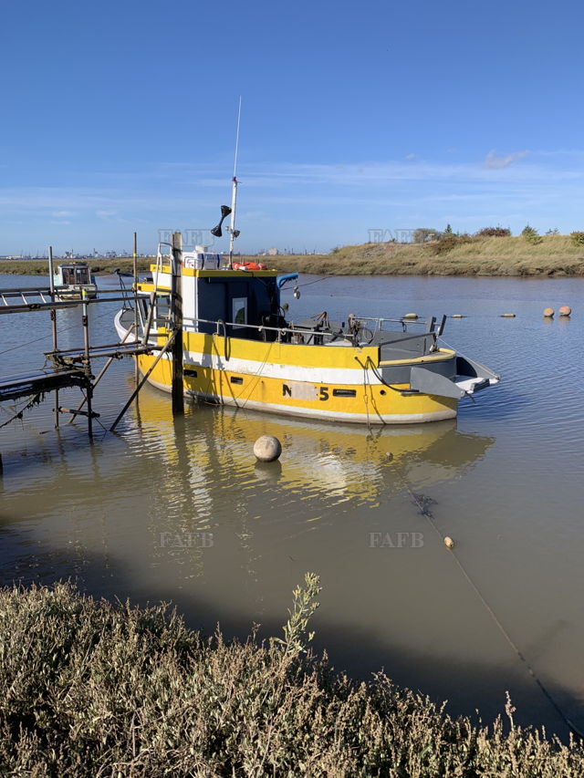 Large picture for advert 143534