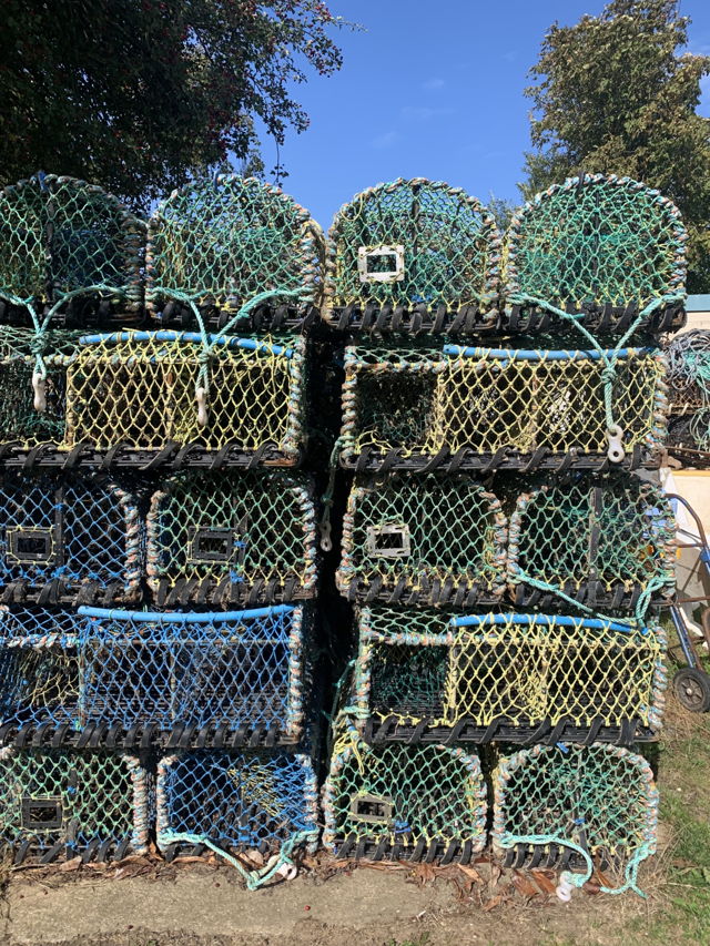 Large picture for advert 143534