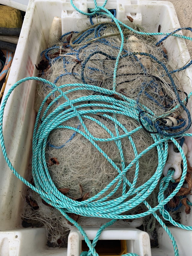 Large picture for advert 143534