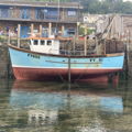 Thumbnail for picture 13