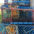 Thumbnail for picture 5