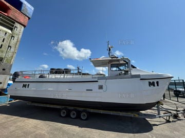 Cheetah 10m