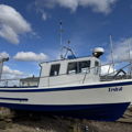 Extra picture for advert 147535