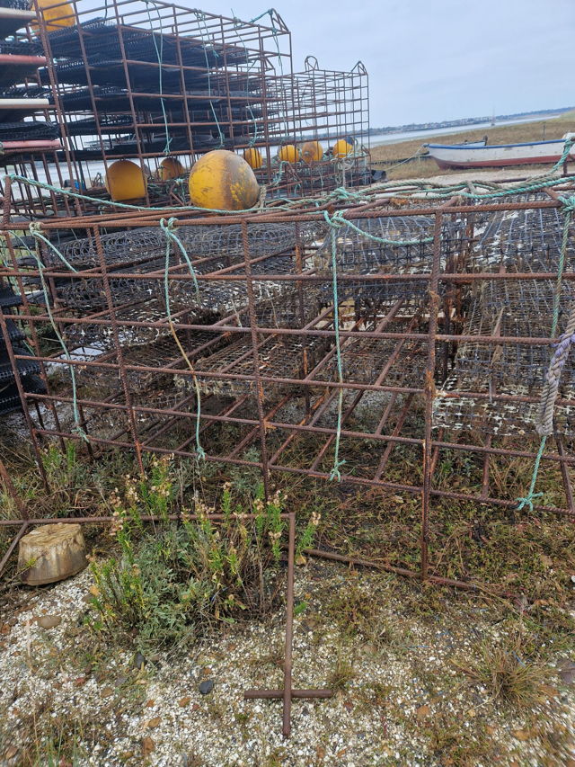 Large picture for advert 144054