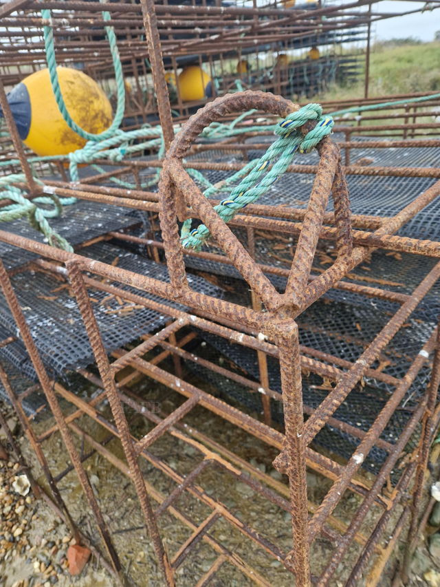 Large picture for advert 144054