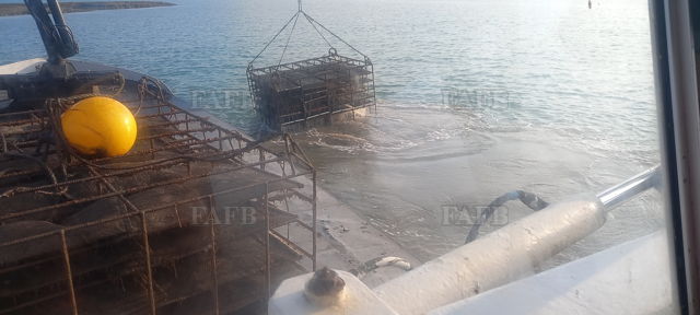 Large picture for advert 144054