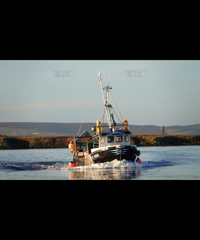 Large picture for advert 149054