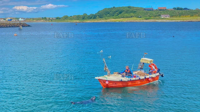 Large picture for advert 140540