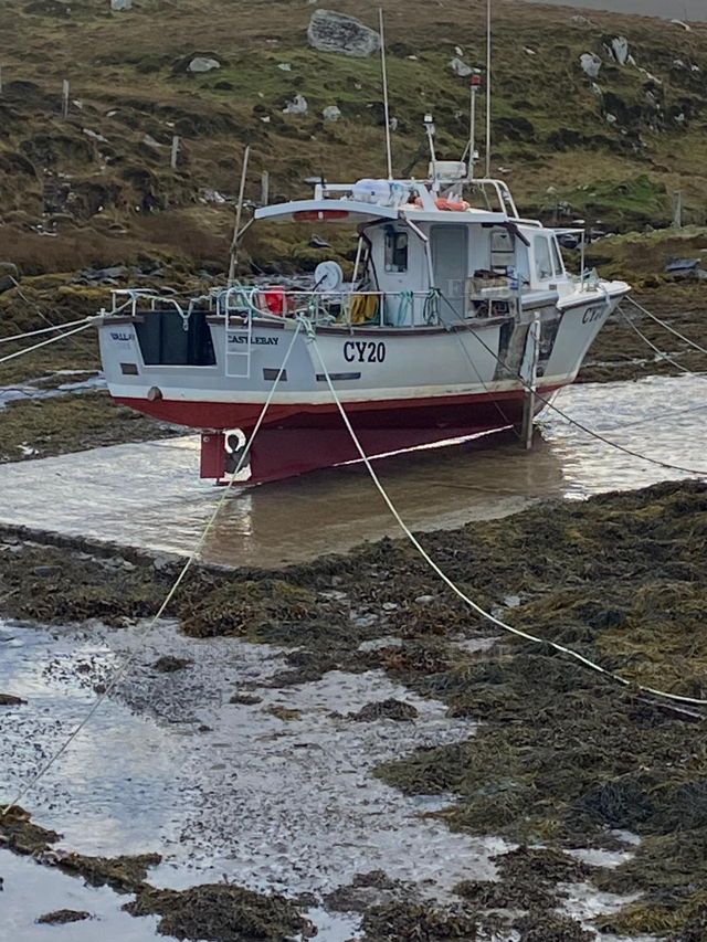 Large picture for advert 144542