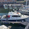 Extra picture for advert 147544
