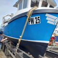 Thumbnail for picture 8