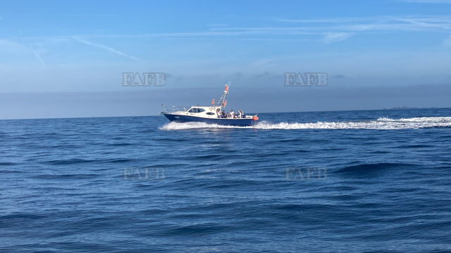 Large picture for advert 136546