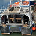 Extra picture for advert 148546