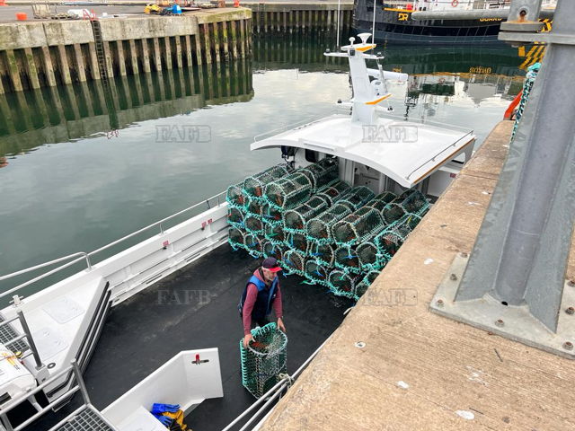 Large picture for advert 128547