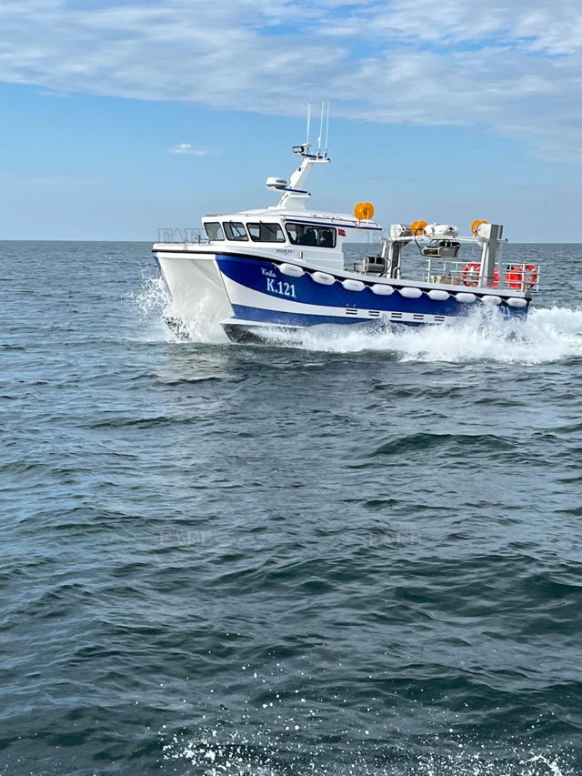 Large picture for advert 128547