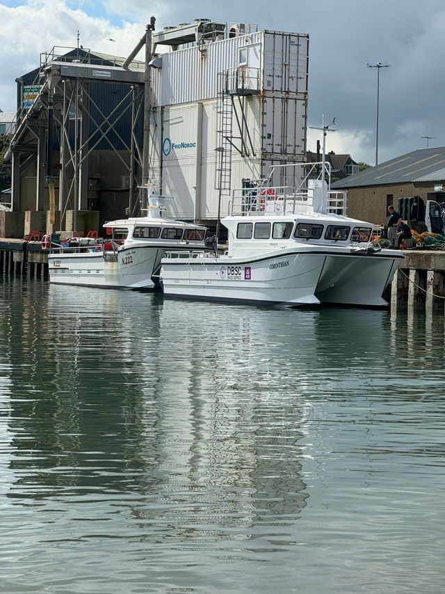 Large picture for advert 128547