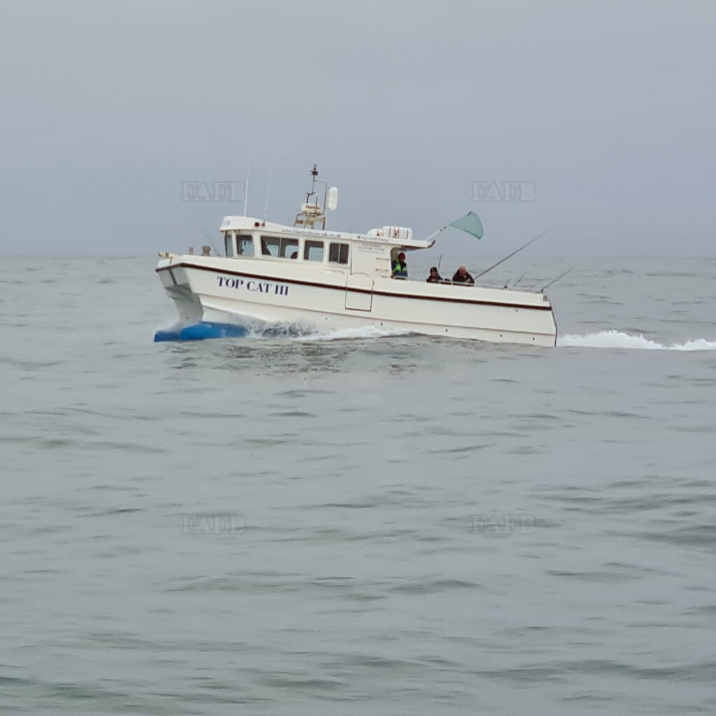 10m Blyth Catamaran, new version with raised gunwhales