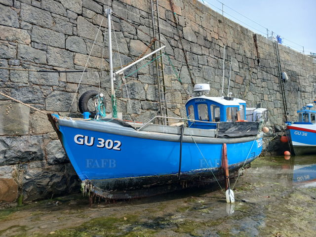 Large picture for advert 148549