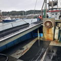 Extra picture for advert 148549