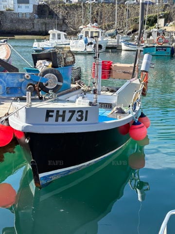 Tidos FH731