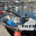 Thumbnail for picture 8