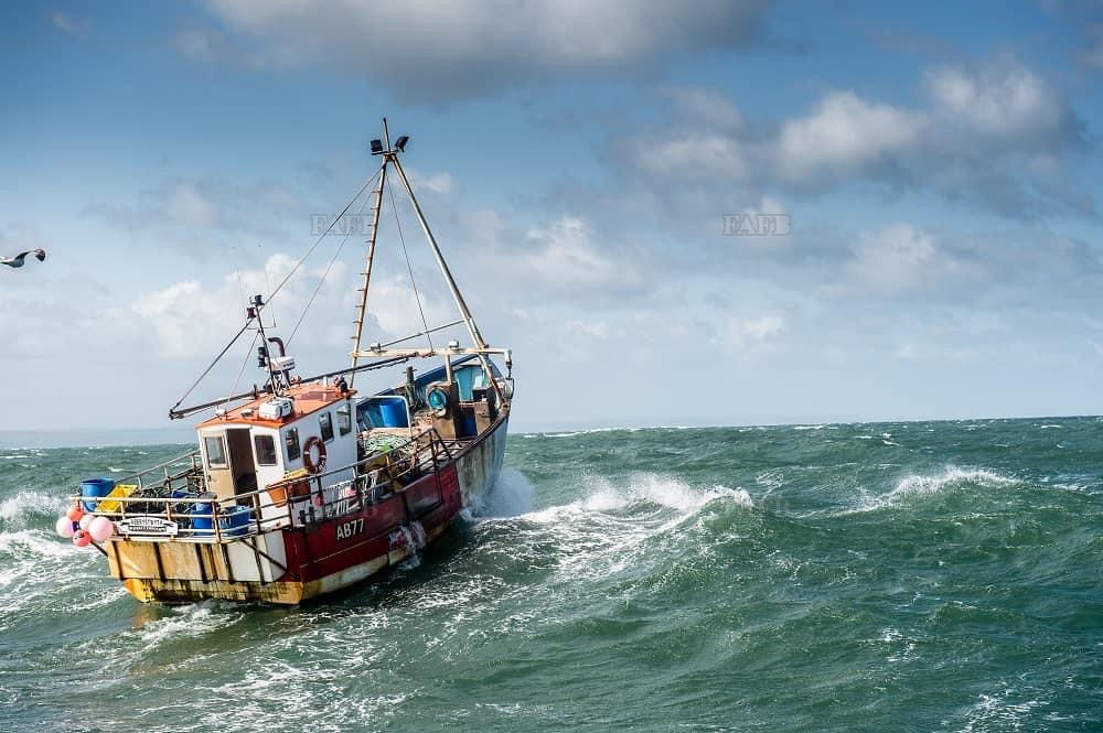 Large picture for advert 147554