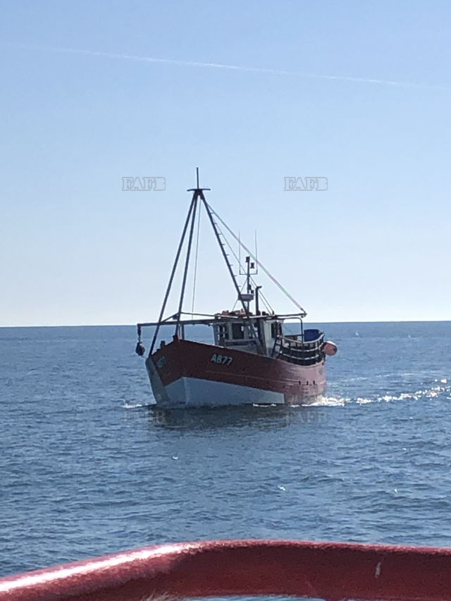 Large picture for advert 147554