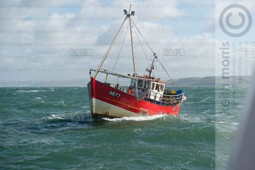 Main picture for advert 147554