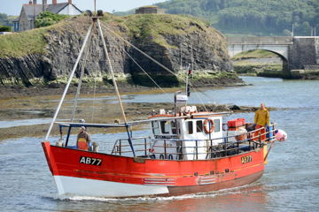 Main picture for advert 147554