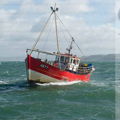 Extra picture for advert 147554