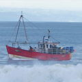 Extra picture for advert 147554